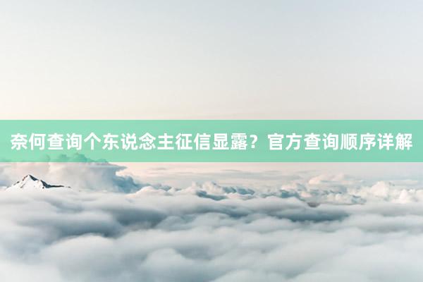 奈何查询个东说念主征信显露？官方查询顺序详解